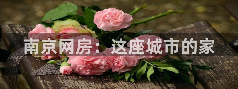 风暴娱乐 北京：南京网房：这座城市的家
