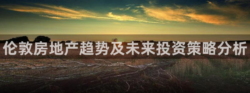 风暴娱乐登录网址：伦敦房地产趋势及未来投资策略分析