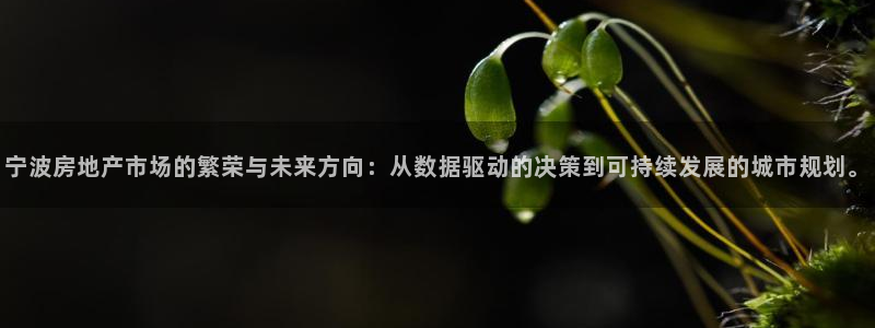 风暴官方娱乐：宁波房地产市场的繁荣与未来方向：从数据驱动的决