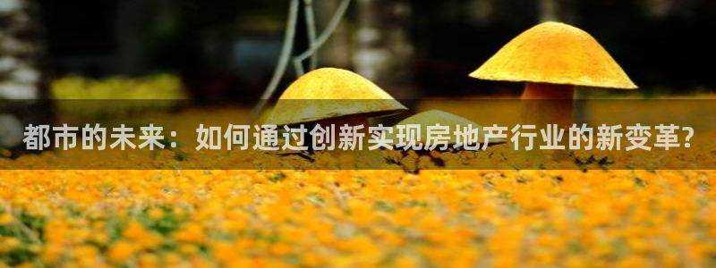 风暴娱乐记：都市的未来：如何通过创新实现房地产行业的新变革?