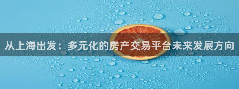 风暴娱乐官方网站：从上海出发：多元化的房产交易平台未来发展方