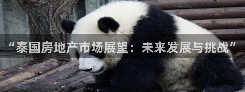 风暴娱乐下载地址：“泰国房地产市场展望：未来发展与挑战”