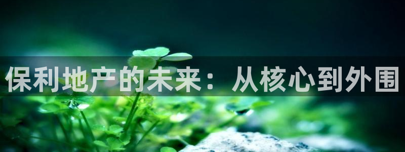 万万娱乐风暴：保利地产的未来：从核心到外围