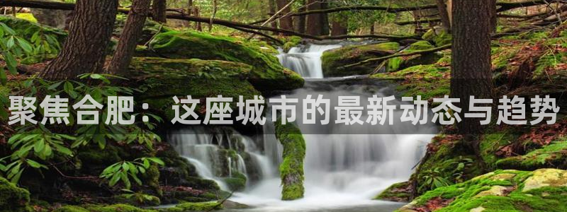 风暴娱乐代理登录：聚焦合肥：这座城市的最新动态与趋势