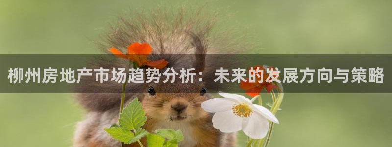 风暴娱乐汇：柳州房地产市场趋势分析：未来的发展方向与策略