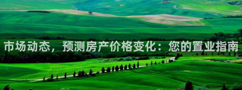 完美风暴 娱乐：市场动态，预测房产价格变化：您的置业指南