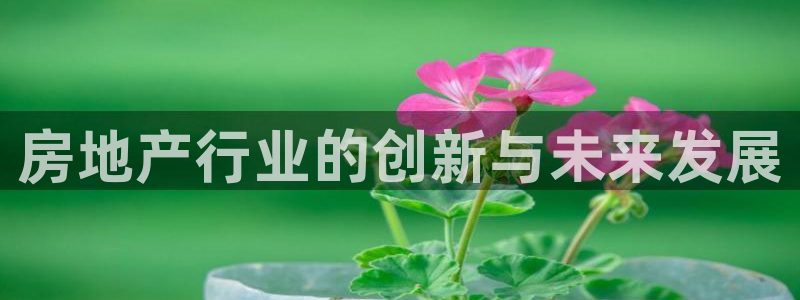 风暴娱乐求333OOc：房地产行业的创新与未来发展