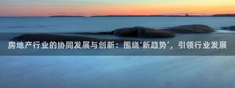 风暴娱乐上5指尖：房地产行业的协同发展与创新：围绕‘新趋势’