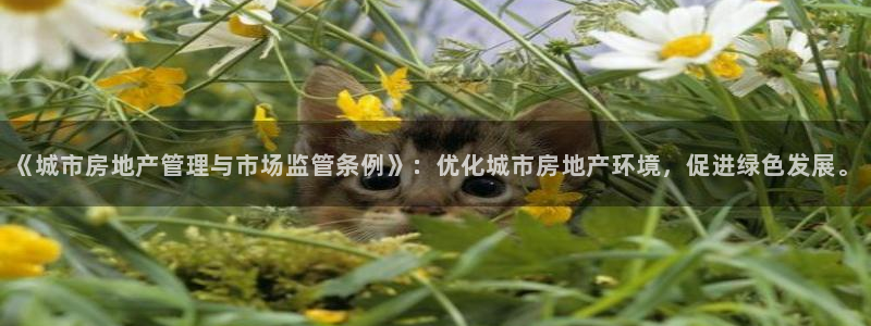 万万娱乐风暴：《城市房地产管理与市场监管条例》：优化城市房地