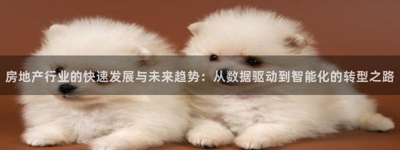 风暴娱乐园：房地产行业的快速发展与未来趋势：从数据驱动到智能