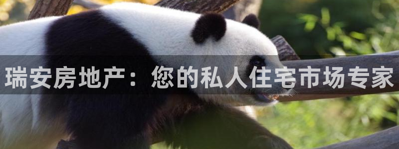 风暴娱乐提现：瑞安房地产：您的私人住宅市场专家