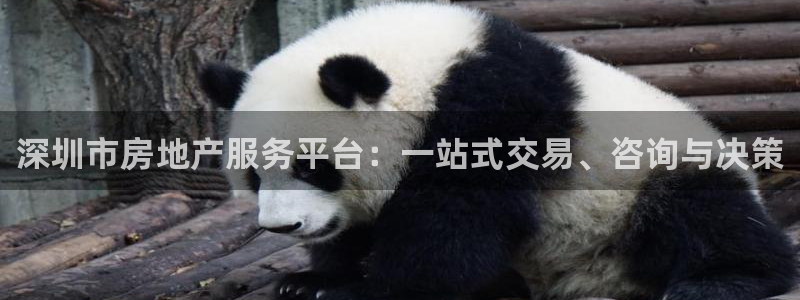 风暴娱乐号：深圳市房地产服务平台：一站式交易、咨询与决策