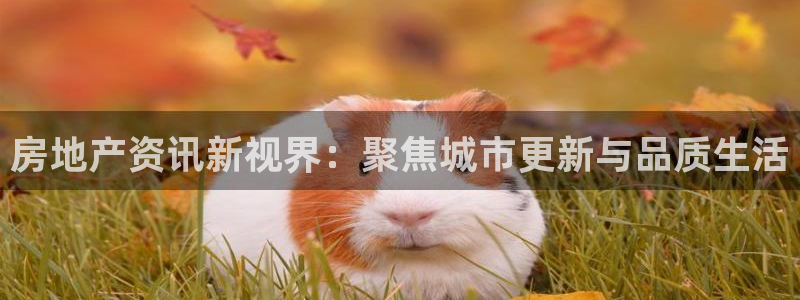 风暴娱乐fb：房地产资讯新视界：聚焦城市更新与品质生活