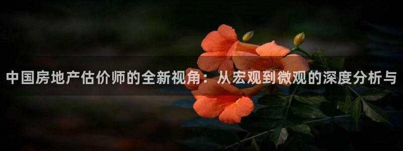 风暴娱乐去人l8888：中国房地产估价师的全新视角：从宏观到