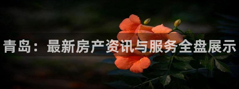 风暴娱乐去人l8888：青岛：最新房产资讯与服务全盘展示