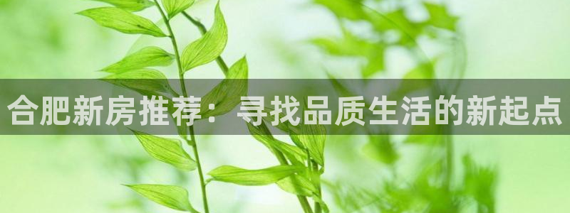 风暴娱乐 北京：合肥新房推荐：寻找品质生活的新起点