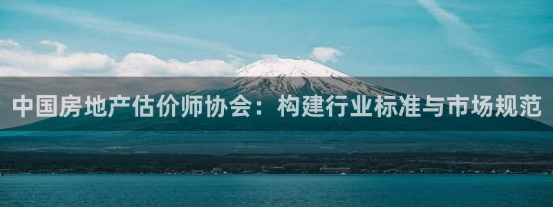 风暴娱乐fb：中国房地产估价师协会：构建行业标准与市场规范