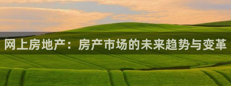 风暴娱乐拉菲8：网上房地产：房产市场的未来趋势与变革