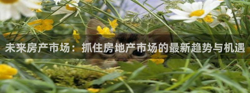 风暴娱乐5O6917：未来房产市场：抓住房地产市场的最新趋势