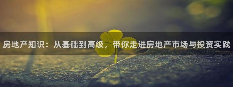 星风暴娱乐：房地产知识：从基础到高级，带你走进房地产市场与投