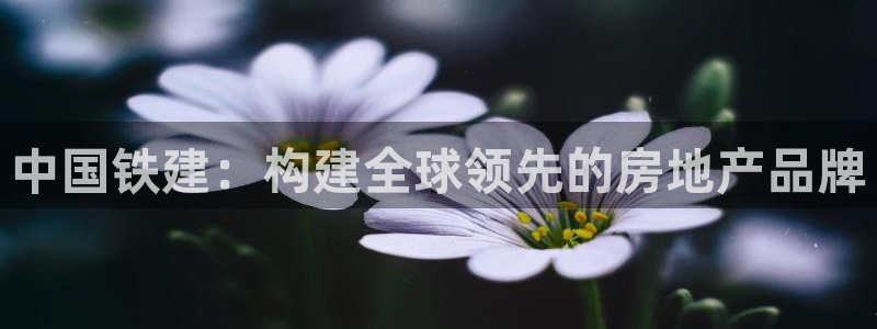 风暴娱乐上5指尖：中国铁建：构建全球领先的房地产品牌