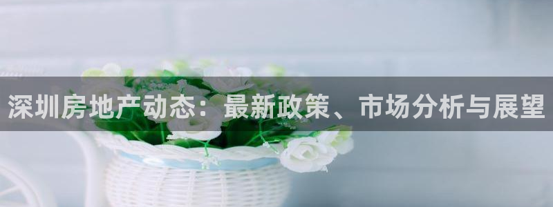 风暴娱乐下载地址：深圳房地产动态：最新政策、市场分析与展望