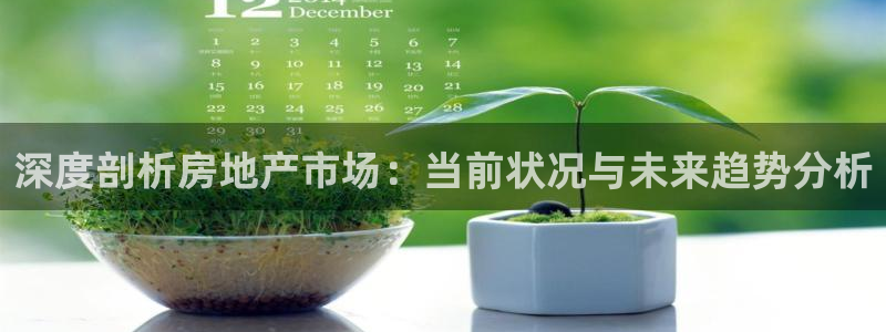 风暴娱乐344272：深度剖析房地产市场：当前状况与未来趋势