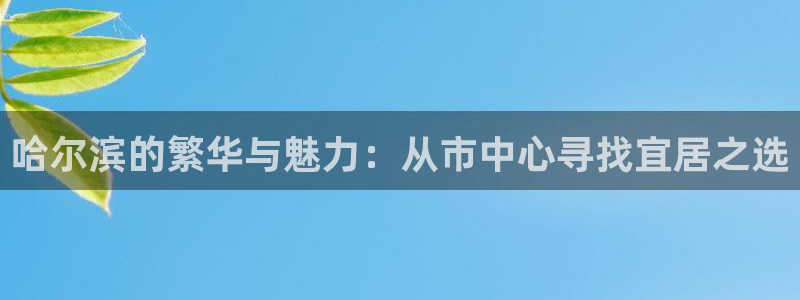娱乐风暴系统：哈尔滨的繁华与魅力：从市中心寻找宜居之选