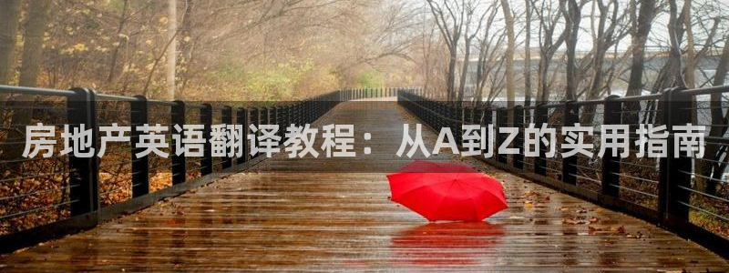 风暴数字娱乐：房地产英语翻译教程：从A到Z的实用指南