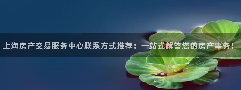 风暴娱乐平台官网登陆：上海房产交易服务中心联系方式推荐：一站