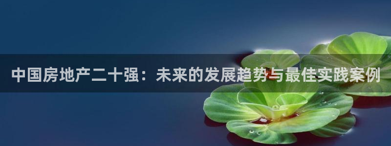 风暴娱乐乃六七五一38：中国房地产二十强：未来的发展趋势与最