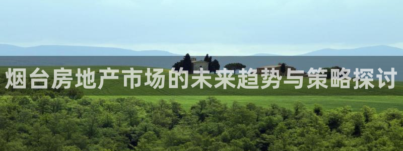 风暴平娱乐：烟台房地产市场的未来趋势与策略探讨