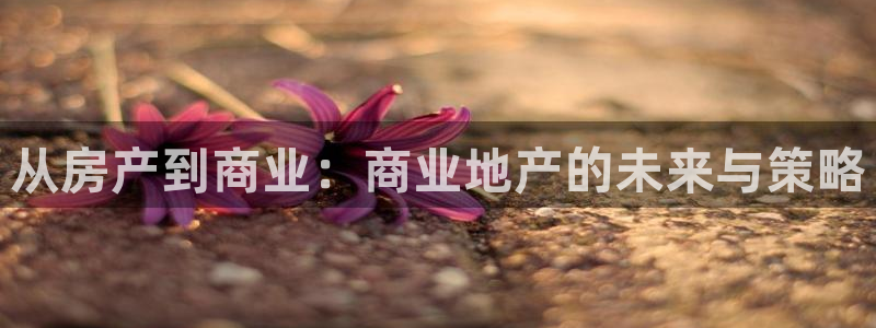 风暴娱乐待遇：从房产到商业：商业地产的未来与策略