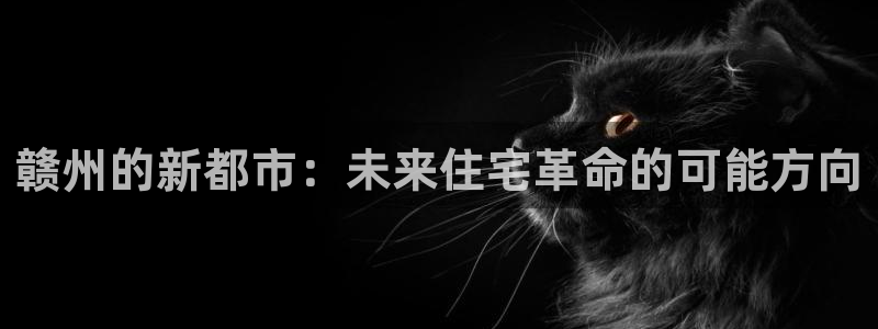 风暴娱乐1980：赣州的新都市：未来住宅革命的可能方向