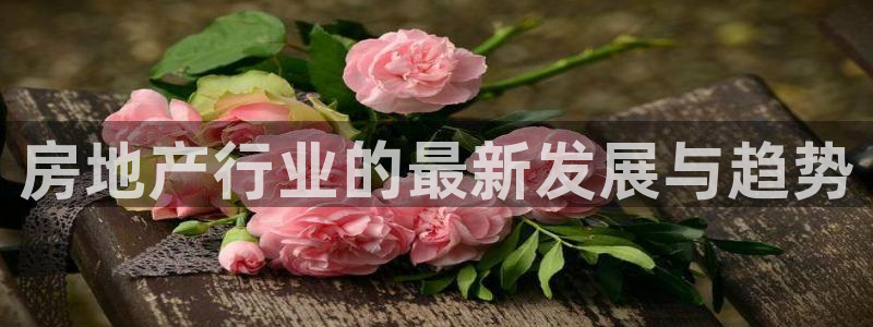 娱乐风暴二：房地产行业的最新发展与趋势