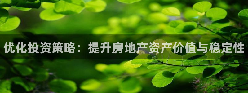 风暴娱乐代理登录：优化投资策略：提升房地产资产价值与稳定性