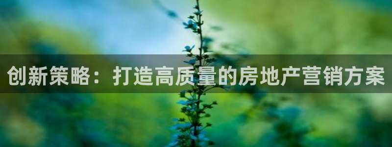 风暴娱乐平台官网登陆：创新策略：打造高质量的房地产营销方案