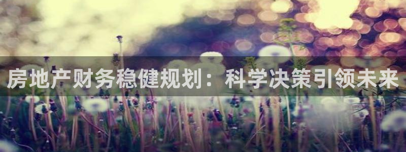 风暴娱乐：房地产财务稳健规划：科学决策引领未来