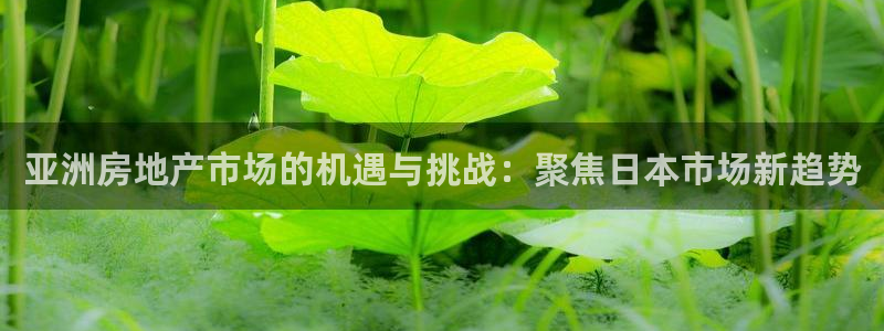 风暴娱乐：亚洲房地产市场的机遇与挑战：聚焦日本市场新趋势