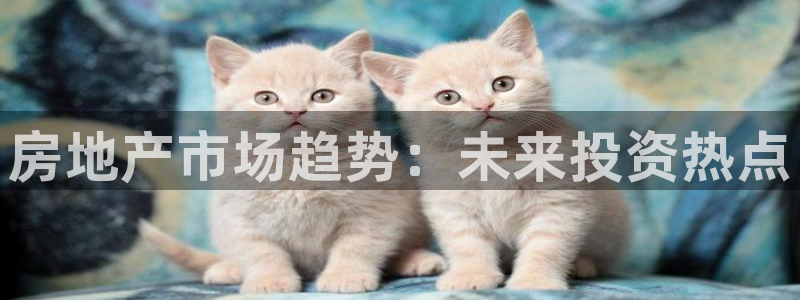 娱乐风暴系统：房地产市场趋势：未来投资热点