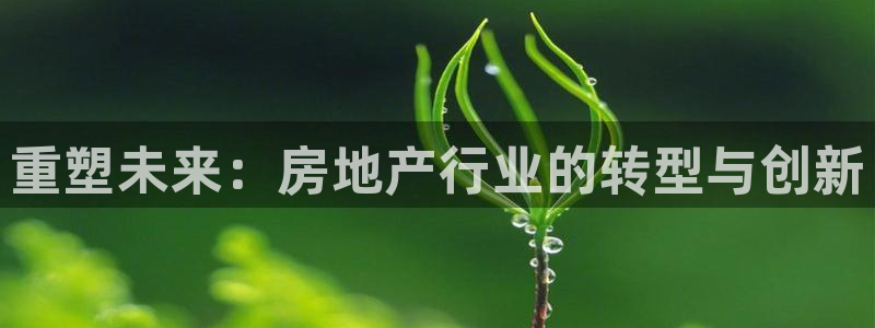 娱乐风暴开头：重塑未来：房地产行业的转型与创新