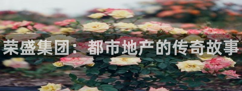 风暴娱乐乃六七五一38：荣盛集团：都市地产的传奇故事