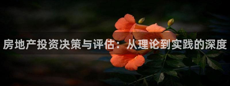 风暴娱乐自动挂：房地产投资决策与评估：从理论到实践的深度