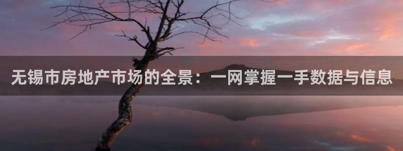 风暴娱乐344272：无锡市房地产市场的全景：一网掌握一手数