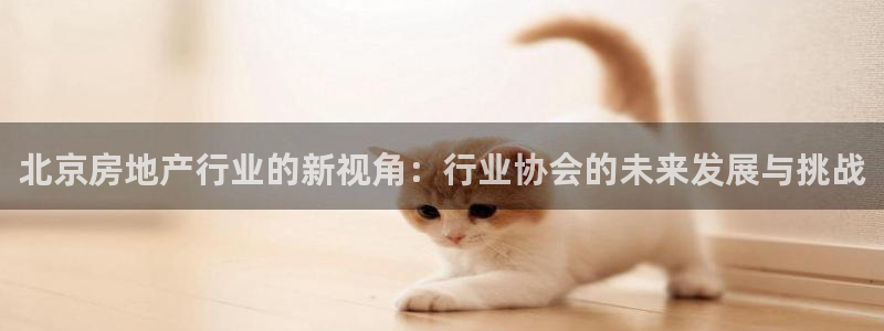 风暴娱乐待遇：北京房地产行业的新视角：行业协会的未来发展与挑
