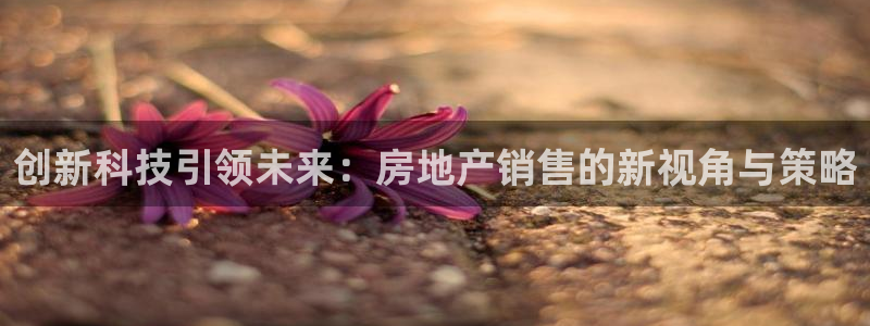 风暴娱乐登录网址：创新科技引领未来：房地产销售的新视角与策略