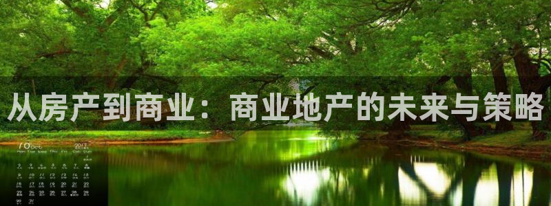 风暴娱乐自动挂：从房产到商业：商业地产的未来与策略