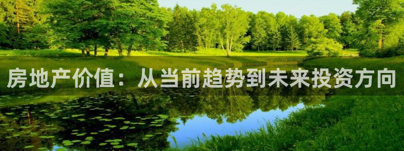 风暴娱乐眼：房地产价值：从当前趋势到未来投资方向