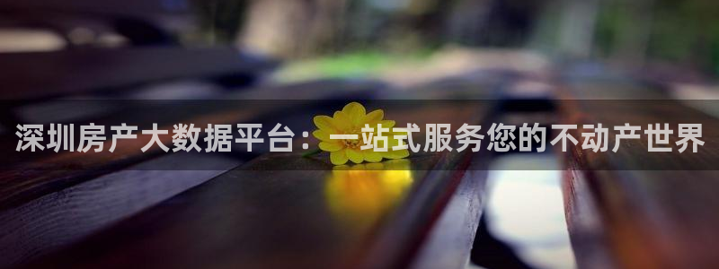 风暴娱乐自动挂：深圳房产大数据平台：一站式服务您的不动产世界