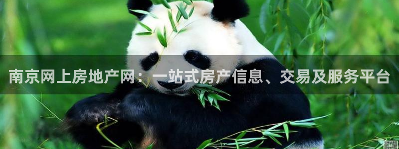 娱乐星空风暴：南京网上房地产网：一站式房产信息、交易及服务平